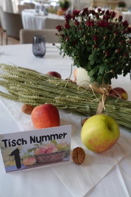Brunchtanz 2025 in Solothurn