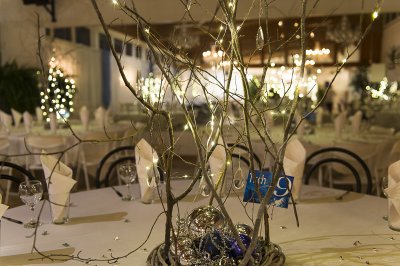 Chlausball 2017