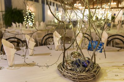 Chlausball 2017