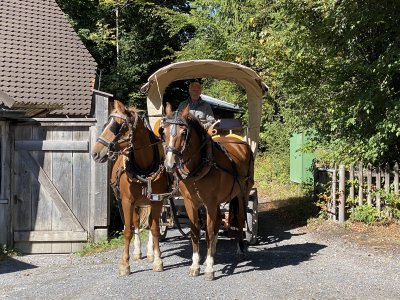 Mitarbeiterausflug Ballenberg 21. August 2022
