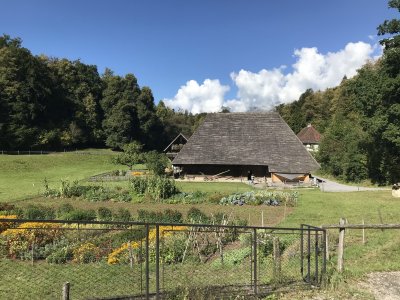 Mitarbeiterausflug Ballenberg 21. August 2022