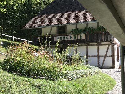 Mitarbeiterausflug Ballenberg 21. August 2022