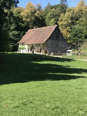 Mitarbeiterausflug Ballenberg 21. August 2022