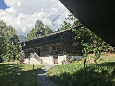 Mitarbeiterausflug Ballenberg 21. August 2022