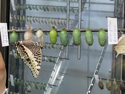 Mitarbeiterausflug 2023