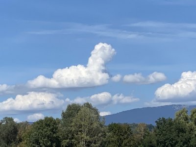 Mitarbeiterausflug 2023