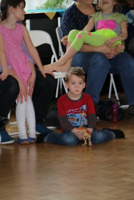 SwissDance Startest Januar 2018