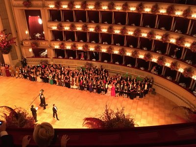 Wiener Bälle 2017