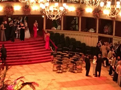 Wiener Bälle 2017