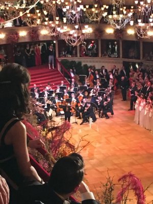 Wiener Bälle 2017