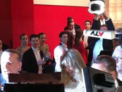 Wiener Bälle 2017