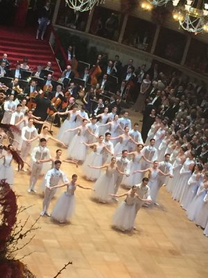 Wiener Bälle 2017