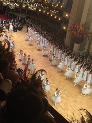 Wiener Bälle 2017