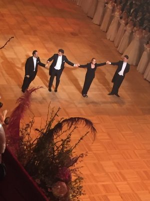 Wiener Bälle 2017