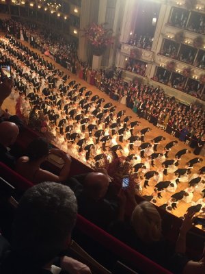 Wiener Bälle 2017