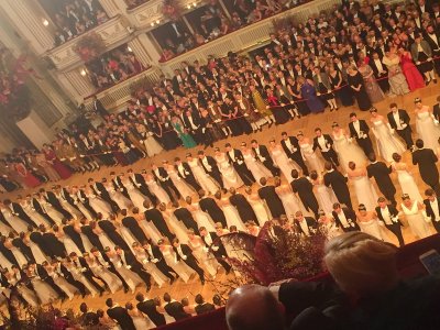 Wiener Bälle 2017