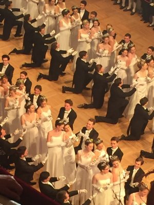 Wiener Bälle 2017