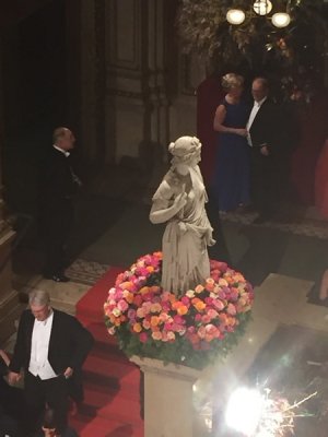 Wiener Bälle 2017