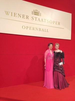 Wiener Bälle 2017