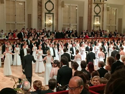 Wiener Bälle 2017