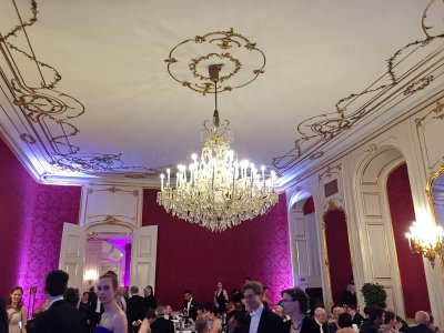 Wiener Bälle 2017