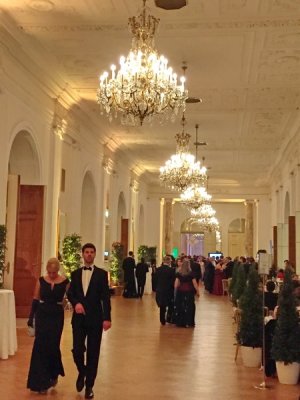Wiener Bälle 2017