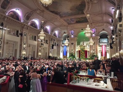 Wiener Bälle 2017
